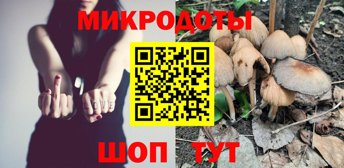 Псилоцибиновые грибы Cubensis Карталы